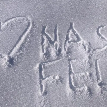 Sonnleitn Alpinwell appartment Apartment