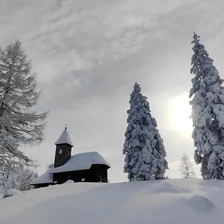 דירה Sonnleitn Alpinwell appartment