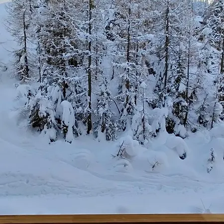 Sonnleitn Alpinwell appartment