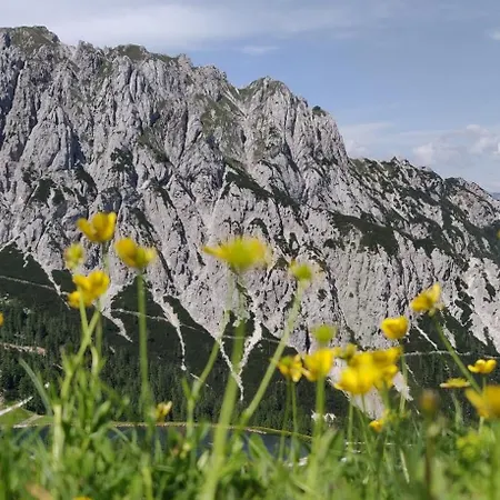 Sonnleitn Alpinwell appartment Daire *