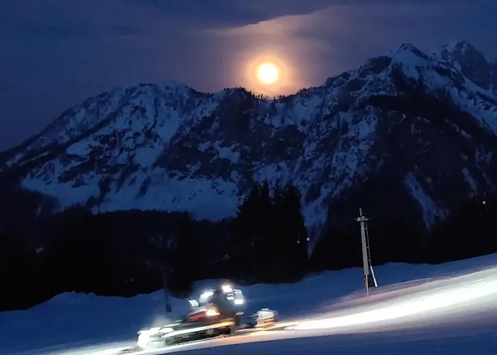 Sonnleitn Alpinwell appartment