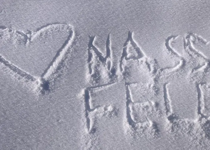 Sonnleitn Alpinwell appartment Apartman