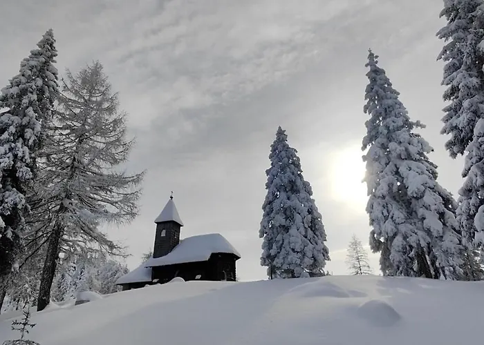 Apartman Sonnleitn Alpinwell appartment