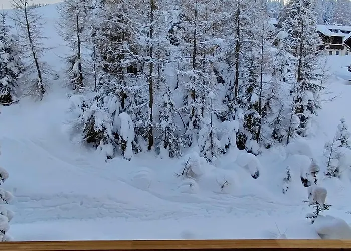 Sonnleitn Alpinwell appartment