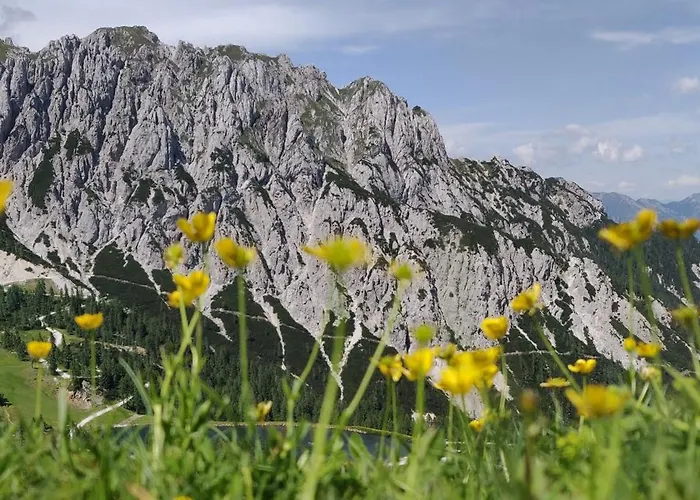 Sonnleitn Alpinwell appartment Apartman *